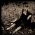 :iconshannon31791: