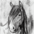 :iconshannonlauriston: