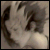 :iconshannonslastbreath: