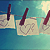 :iconshanonaut: