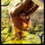 :iconshantar262:
