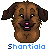 :iconshantiala:
