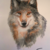 :iconshantremon: