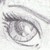 :iconshanzi-lou: