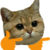 :iconshanzinator: