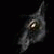 :iconshapeiess: