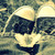 :iconshardsofbrokenfate: