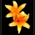 :iconshardyn: