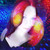 :iconSharealinderiel: