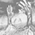 :iconsharegraw: