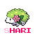 :iconsharibear: