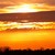 :iconsharinafotografie: