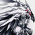 :iconshark0073: