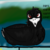 :iconsharkandbirdscorner1: