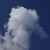 :iconsharkbite1414: