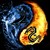 :iconsharkdragon713: