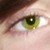 :iconsharkey796:
