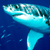 :iconsharksoftheworld: