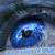SharkYm00nFLOW :iconsharkym00nflow: