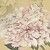 :iconsharlotta-elburn: