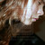 :iconsharon-zoria: