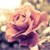 :iconsharonmelindaocamb: