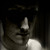 :iconsharp69: