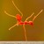 :iconsharpcopper: