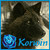 :iconsharpshooterphotos: