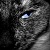 :iconsharpthought:
