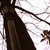 :iconsharxbyte: