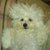 :iconshasha132:
