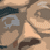 :iconshasshin:
