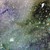 :iconshastadog001: