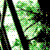 :iconshattered-innocence: