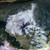 :iconshatteredlightimages: