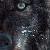 :iconshatteringmoonlight: