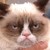 :iconshaun-g-1990: