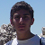 :iconshaunt1: