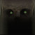 :iconshawn-king: