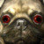 :iconshawnaloroc: