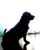:iconshay-da: