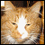 :iconshaydeewindfeather: