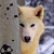 :iconShayeth: