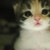 :iconshayheart93: