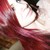 :iconshaylafish: