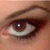 :iconShaym: