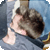 :iconshazb0t:
