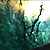 :iconshazegfx: