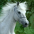 :iconshe-beastt: